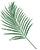 icon-palmeira